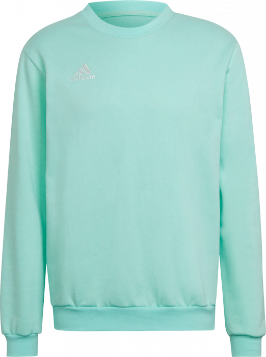 Adidas - Entrada 22 Sweatshirt - Clear mint & hvid