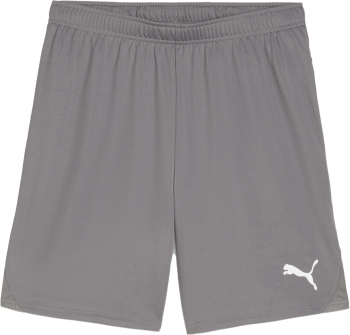 Puma - Teamgoal Shorts - Cast Iron & weiß